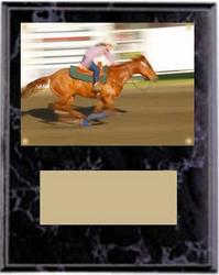 Horse Show Plaques and Rodeo Plaques