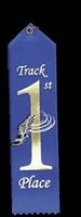 Stock Card and String Track Ribbon (pack of 25)