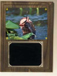 Deluxe Image Fishing Plaque in Solid Walnut V Series