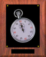 Walnut Track and Field Plaque N Series