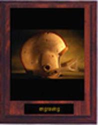 Image Football Plaque N Style