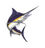 marlin1uf1.jpg