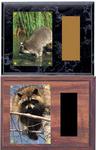Nite Hunt Plaques Set 3H
