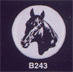 Litho Buttons For Rosettes