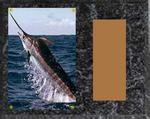 Black Marble Finish Image Fishing Plaque H Series