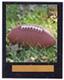 Image Football Plaque N Style