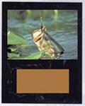 Image Black Marble Fishing Plaque V Series