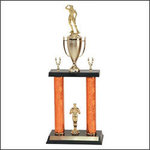 Bodybuilding Trophies and Lifting Trophies with Double Posts