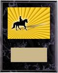 Equestrian Dressage Plaque Awards BM