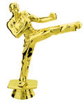 Male Karate Trophy Figure FIG7508