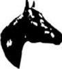 Equestrian and Western Logos