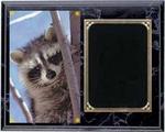 Deluxe Coon Hunt Plaques H Series