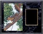 Deluxe Squirrel Hunt Plaques H Series