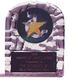 Acrylic Block Ice Track Trophy