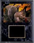 Deluxe Squirrel Hunt Plaques V Series