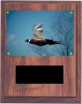 Pointer and Retiever Field Trial Plaques V Series