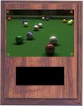 Cherry Finish Image Pool Plaques V Series