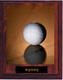 Picture Volleyball Plaque N Style