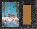 Image Archery Plaque H Series