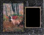 Deluxe Image Archery Plaque