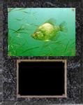 Deluxe Black Marble Finish Image Fishing Plaque V Series