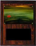 Target Image Archery Plaque V Series