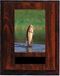 N Series Cherry Finish Image Fishing Plaque