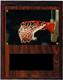 Image Basketball Plaque V series in cherry finish