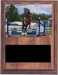 Equestrian Plaque CF
