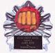 Acrylic Martial Arts Flame Ice Trophy