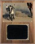 Deluxe Horse Show Plaques and Rodeo Plaques on Solid Walnut