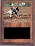 Horse Show Plaques and Rodeo Plaques