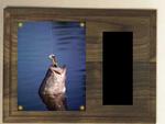 Genuine Walnut Image Fishing Plaque H Series