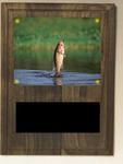 Image Solid Walnut Fishing Plaque V Series