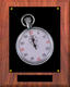 Walnut Track and Field Plaque N Series
