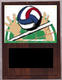 Solid Walnut Image Volleyball Plaque V Style