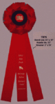Large Custom Printed Rosette Ribbon TR79