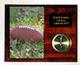 Image Football Plaque Clock