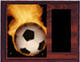Image Soccer Plaque H Style