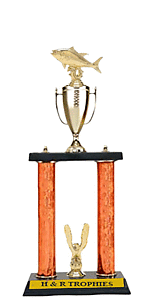 trophy heights of 24-36 inches