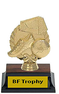 Gender Neutral Soccer Trophy