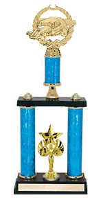 2PSR Dirt Track Racing Trophies, 