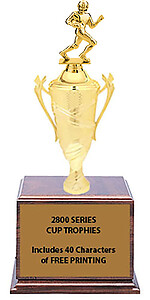Football Cup Trophy on Cherry Finish