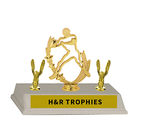 Quarterback Gonna Pass Youth Football Trophies have doubled side trim