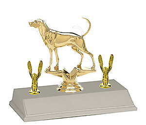3BF Coonhound Bench Show Trophies