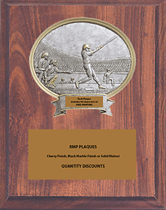 Check Out Our Volume Discounts on this Baseball Plaque