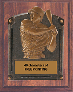 Check Out Our Volume Discounts on this Baseball Plaque