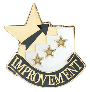 Lapel Pin for those who have shown improvement.