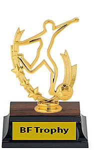 Gender Neutral Silhouette Soccer Trophies, 