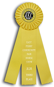 TR53FT a 5 X 14 inches Field Trial or Dog Show Rosette Ribbon 